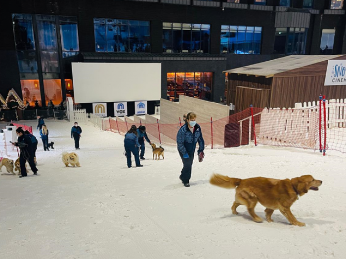 Snowplay